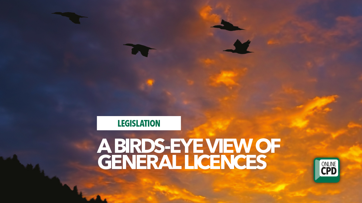 birds eye view general licences bpca defra 2